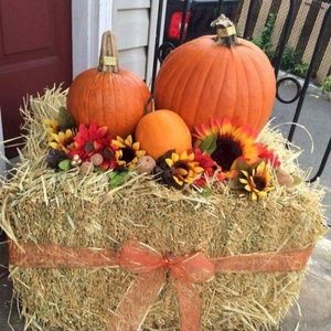 Meet your Posher, Barbra